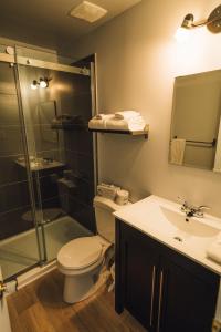 a bathroom with a toilet and a shower and a sink at Auberge sur Mer in Notre-Dame-du-Portage