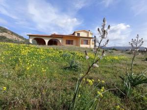 a house on a hill with a field of flowers at Villa Jolies in Viddalba