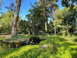 um lago num parque com árvores e relva em Cabaña en el bosque em Curicó