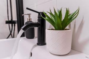 a plant sitting on a sink next to a faucet at Casa Arai en Casco Histórico con Parking Gratuito in Ronda +19 photos