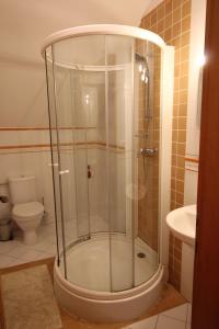 a shower in a bathroom with a toilet at Penzion Na Statku in Starý Vestec +8 photos