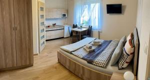 a small room with a bed and a kitchen at Piękny zielony zakątek na Kaszubach - agroturystyka z jacuzzi in Strzepcz