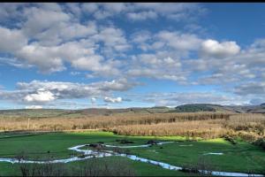 Un río en un campo con árboles y un cielo nublado en Terre du Vivant, en Cluny
