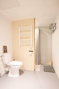 łazienka z toaletą i prysznicem z oknem w obiekcie Appartement Les Cyprès de l’Île w Awinionie