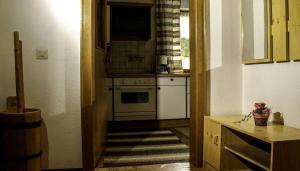 Η κουζίνα ή μικρή κουζίνα στο s' Ludwign Haus