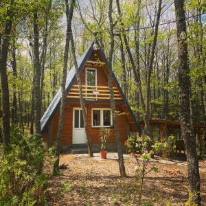 a small house in the middle of the woods at STANET Forest Houses in Novoberdo