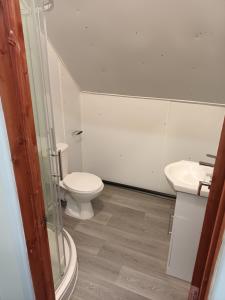 La salle de bains est pourvue de toilettes et d'un lavabo. dans l'établissement 188 marsh road, à Luton