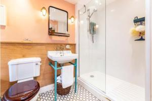 ein Badezimmer mit Toilette, Waschbecken und Dusche in der Unterkunft Charming 2 bed Escape in Snowdonia National Park ! Nr Betws y Coed in Betws-y-coed + 21 Fotos
