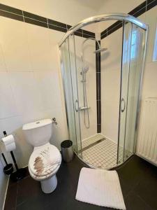 a bathroom with a shower and a white toilet at Wohnen in Graz Mariatrost in Graz