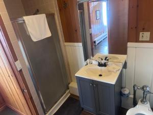 a bathroom with a shower and a sink and a toilet at Historical Hotel - House of Ludington in Escanaba