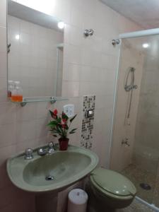 La salle de bains est pourvue d'un lavabo vert et de toilettes. dans l'établissement Hospedagem Virginia Bracelli, à Campos do Jordão