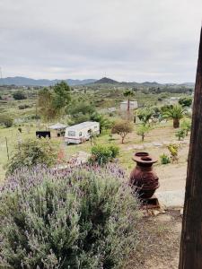 Blick auf ein Feld mit einem Wohnwagen und Blumen in der Unterkunft Rancho Matalote en Valle de Guadalupe in Valle de Guadalupe