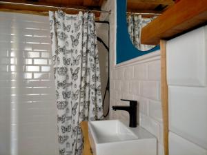 uma casa de banho com um lavatório e uma cortina de chuveiro em preto e branco em Granja Labrada: Alojamiento con caballos em Mañón