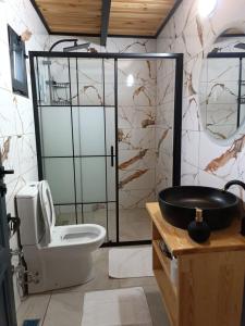 La salle de bains est pourvue de toilettes et d'un lavabo. dans l'établissement Wonder of sapanca, à Sapanca