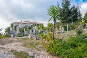 een huis met een palmboom ervoor bij Villa Voula in Ágios Nikólaos