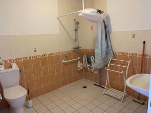 La salle de bains est pourvue de toilettes et d'un lavabo. dans l'établissement Gîte Durandal accès PMR - La Grange de Rocamadour, à Rocamadour