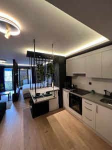 Kuchyň nebo kuchyňský kout v ubytování Prive Living Suite