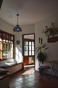 ein Wohnzimmer mit einer Topfpflanze und einer Tür in der Unterkunft Posada Santa Rita in Colonia del Sacramento