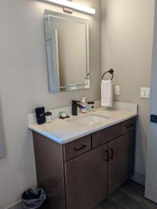 a bathroom with a sink and a mirror at Modern Downtown Condo in Traverse City +11 photos