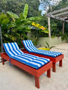 two blue and red lounge chairs on the beach at Hokhmah Heart Hotel in Puerto Morelos