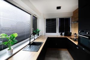 a kitchen with a sink and two windows at World Of Ecstasy - Apartament BDSM in Reda