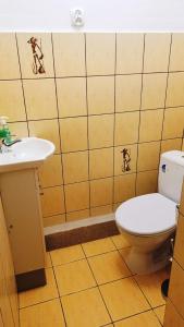 a bathroom with a toilet and a sink at Magnolia in Toruń