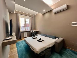 NEW WONDERFUL BILO WITH WALK-IN CLOSET from Moscova Suites Apartments في ميلانو: غرفة نوم فيها سرير وتلفزيون