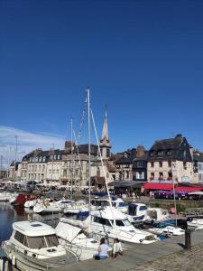 een groep boten is aangemeerd in een haven bij Les Coquelicots in Honfleur