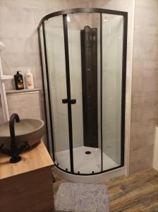 a glass shower in a bathroom with a sink at Au doux refuge in Zimmersheim