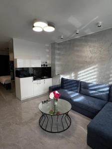 Η κουζίνα ή μικρή κουζίνα στο MT Apartment