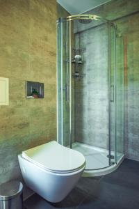 a bathroom with a toilet and a shower at Apartament Słoneczny in Kwidzyn +36 photos