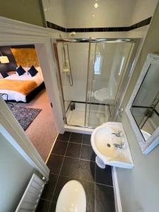 a bathroom with a shower and a toilet and a sink at Field View in Ashfield