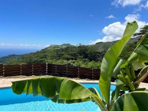 un plátano junto a una piscina con el océano en Villa Parataito- Le Paradis entre Terre et Mer, en Mahina