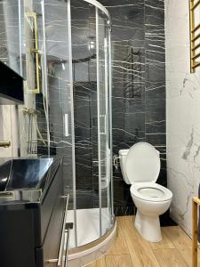 a bathroom with a toilet and a glass shower at Le Chardon Nancy- 2 chambres- parking gratuit- proche transports et Zénith in Nancy +5 photos