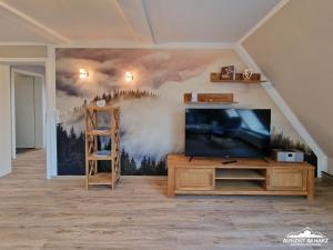 โทรทัศน์และ/หรือระบบความบันเทิงของ Auszeit-im-Harz Haus 1 Wohnung Brockenspitze