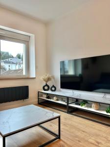 een woonkamer met een grote flatscreen-tv bij Le Chardon- appartement 2chambres- avec stationnement in Nancy