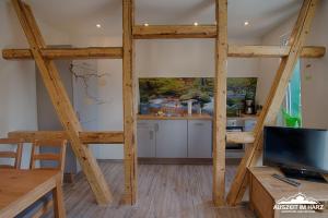 Televisyen dan/atau pusat hiburan di Auszeit-im-Harz Haus 2 Wohnung 3