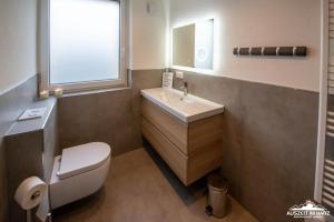 baño con lavabo y aseo y ventana en Auszeit-im-Harz Haus 3 Wohnung 5, en Braunlage