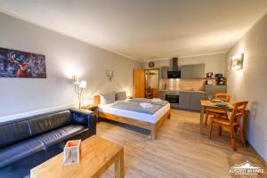 um quarto de hotel com uma cama e uma sala de estar em Auszeit-im-Harz Haus 5 Wohnung 11 em Stiege