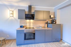 a kitchen with blue cabinets and a sink at Auszeit-im-Harz Haus 5 Wohnung 23 in Stiege