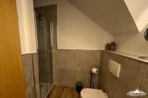 Un baño con inodoro y ducha de cristal. en Auszeit-im-Harz Haus 5 Wohnung 35, en Stiege
