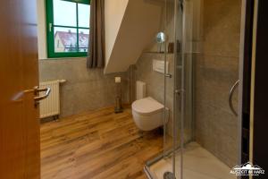 a bathroom with a toilet and a glass shower at Auszeit-im-Harz Haus 5 Wohnung 36 in Stiege +9 photos