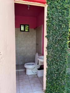 a bathroom with a toilet and a green hedge at Quinta don juanito in Monterrey +6 photos