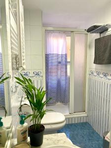 a bathroom with a toilet and a shower with a plant at Habitación My Home Alicante in Alicante