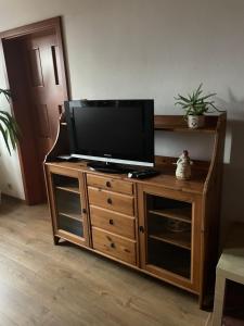 a television on top of a wooden entertainment center at Apartmány Nezdice na Šumavě in Nezdice