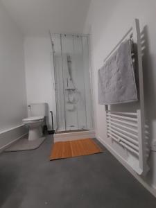 a bathroom with a toilet and a glass shower at Résidence du Léon in Landivisiau