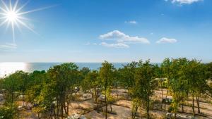 Příroda nedaleko kempu