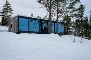 une maison en verre sur une colline dans la neige dans l'établissement Grend Blefjell, à Svene