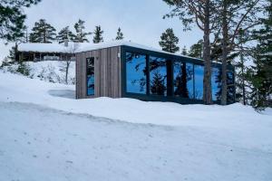 a glass house in the snow in the woods at Grend Blefjell in Svene