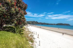 una spiaggia con persone e un albero con dei fiori di Wavesong - Coast & Country a Onetangi